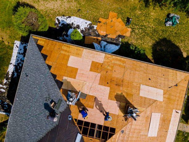 Best Storm Damage Roof Repair  in South Hutchinson, KS